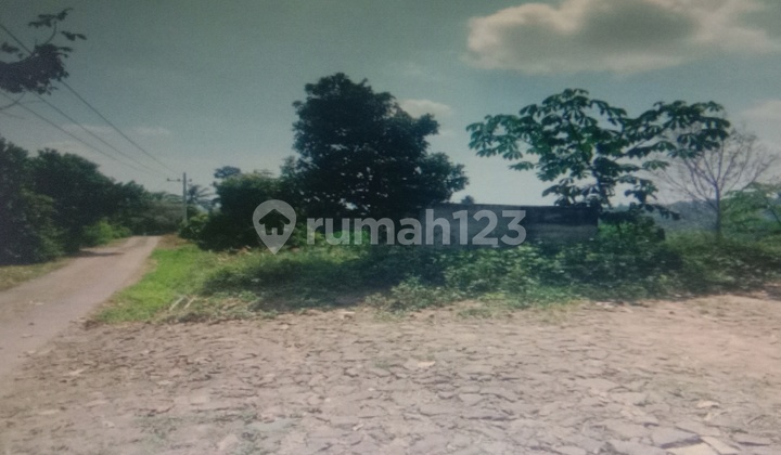 Cheap Land in Dagangan Area, Madiun Cheap Land in Dagangan Area, Madiun
