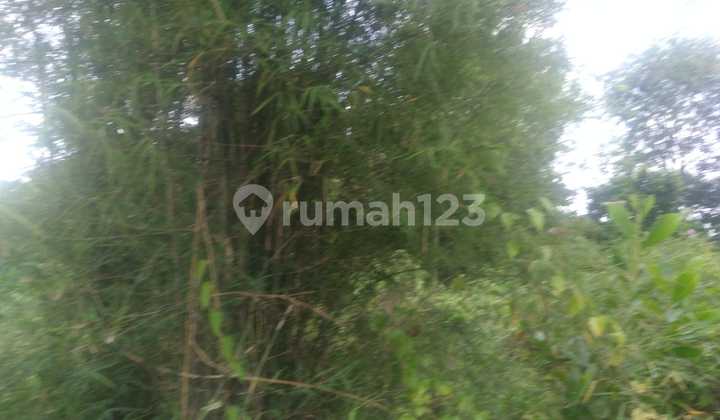 Cheap Land in Talang Kelapa Area, Banyuasin