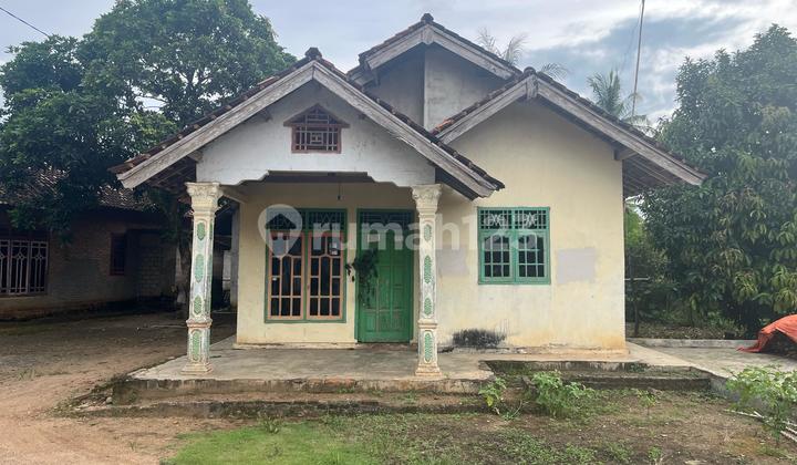 Rumah Murah di Daerah Gunung Sugih, Lampung Tengah 1