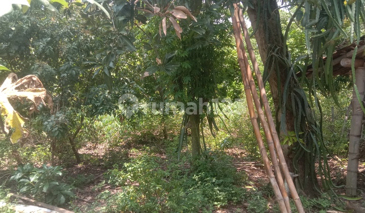 Tanah Murah di Daerah Kawedanan, Magetan