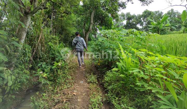 Tanah Murah di Daerah Kejayan, Pasuruan