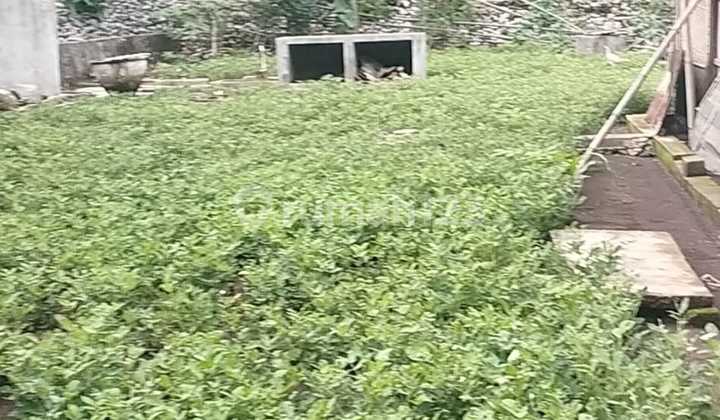 Tanah Murah di Daerah Saptosari, Gunung Kidul