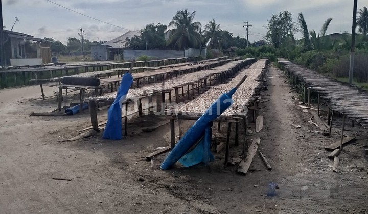 Tanah Murah di Daerah Pantai Labu, Deli Serdang