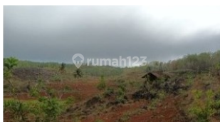 Tanah Murah di Daerah Purwosari, Gunung Kidul