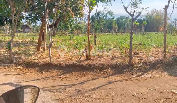 Tanah Murah di Daerah Bantaran, Probolinggo