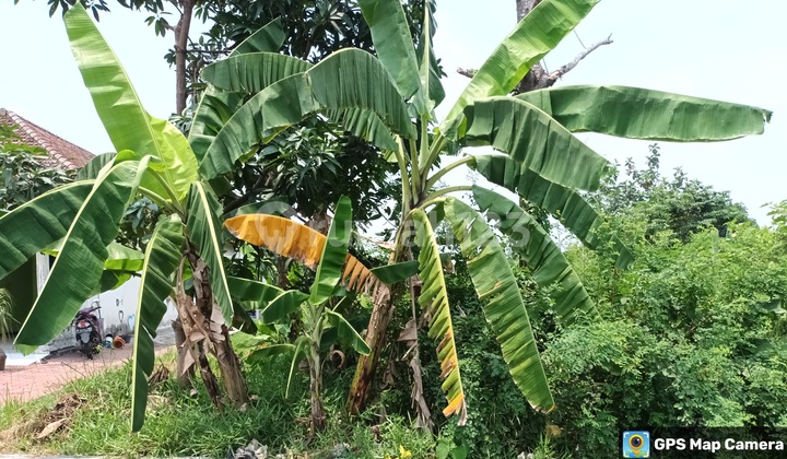 Rumah Murah di Daerah Sukodono, Sragen