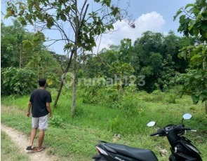 Tanah Murah di Daerah Penawangan, Grobogan