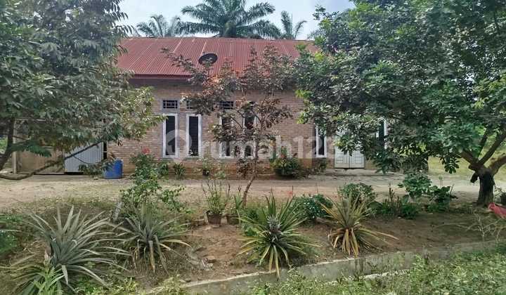 Rumah Murah di Daerah Galang, Deli Serdang