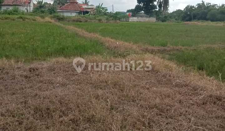 Tanah Murah di Daerah Tigaraksa, Tangerang