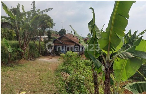 Tanah Murah di Daerah Bangun Rejo, Lampung Tengah