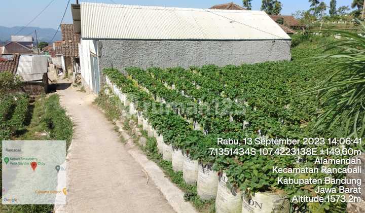 Tanah Murah di Daerah Rancabali, Bandung