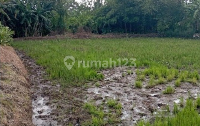 Tanah Murah di Daerah Bugulkidul, Pasuruan