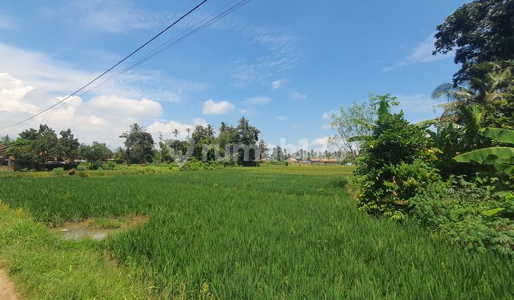 Tanah Murah di Daerah Natar, Lampung Selatan