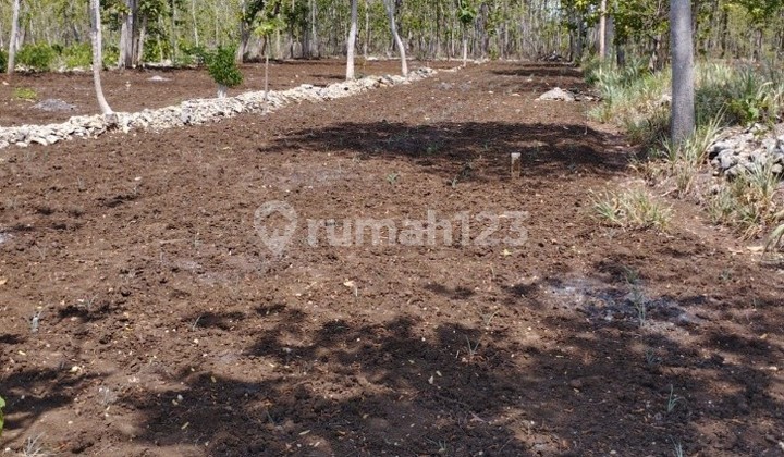 Tanah Murah di Daerah Wonosari, Gunung Kidul