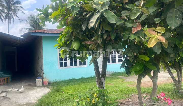 Rumah Murah di Daerah Pegajahan, Serdang Bedagai