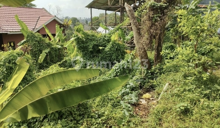 Tanah Murah di Daerah Balikpapan Selatan, Balikpapan