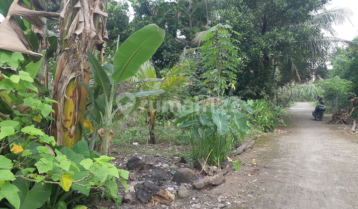 Tanah Murah di Daerah Kutalimbaru, Deli Serdang