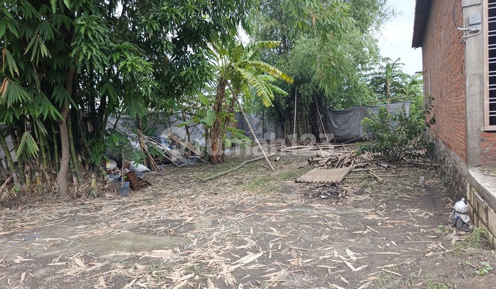 Tanah Murah di Daerah Prambon, Sidoarjo