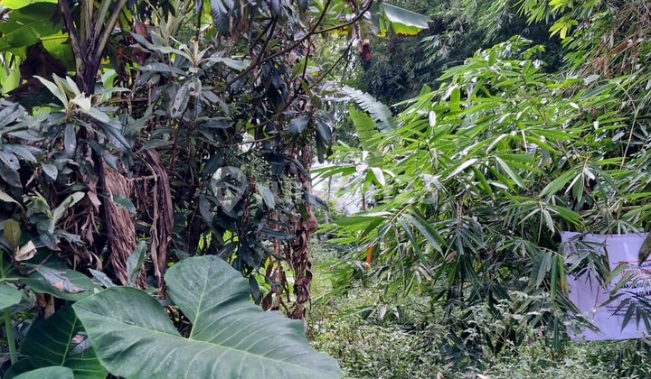 Cheap Land in Getasan Area, Semarang 2