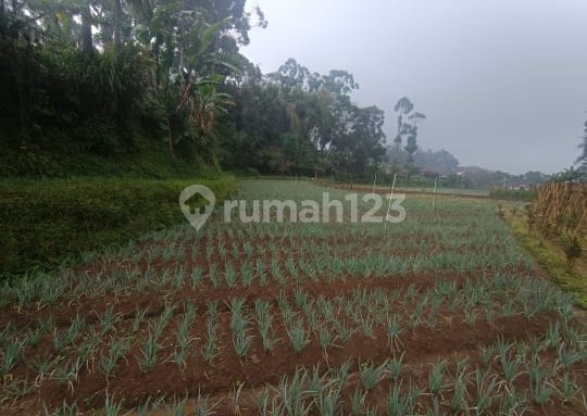 Tanah Murah di Daerah Pacet, Bandung
