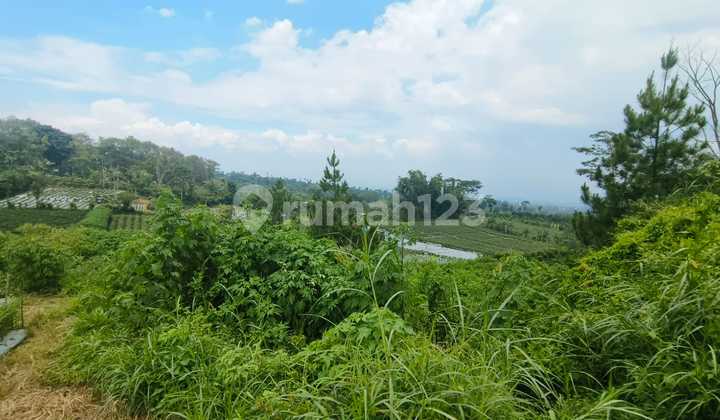 Tanah Murah di Daerah Karangploso, Malang