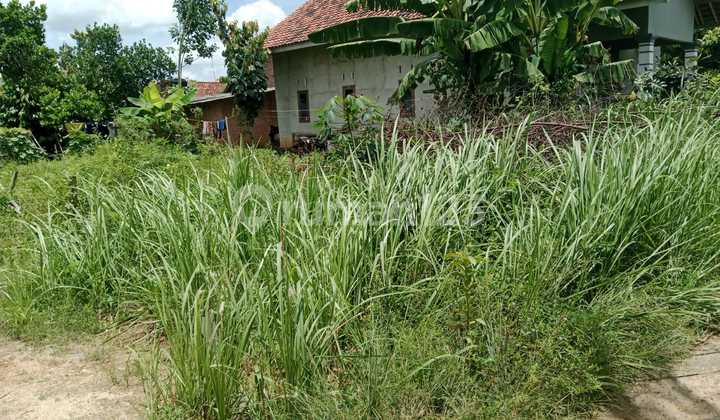 Tanah Murah di Daerah Metro Pusat, Metro
