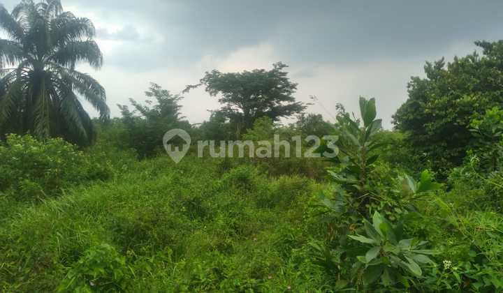 Cheap Land in Talang Kelapa Area, Banyuasin