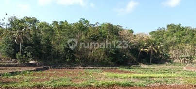 Tanah Murah di Daerah Purwosari, Gunung Kidul Tanah Murah di Daerah Purwosari, Gunung Kidul