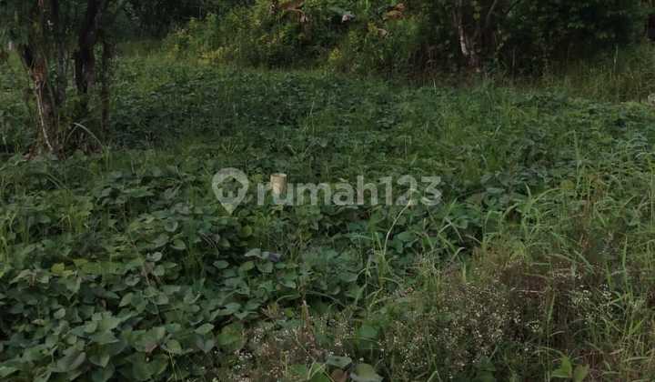 Tanah Murah di Daerah Binjai Selatan, Binjai