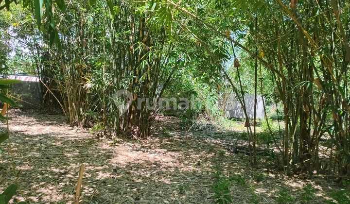 Tanah Murah di Daerah Sanrobone, Takalar