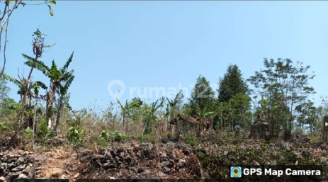 Tanah Murah di Daerah Panggang, Gunung Kidul Tanah Murah di Daerah Panggang, Gunung Kidul