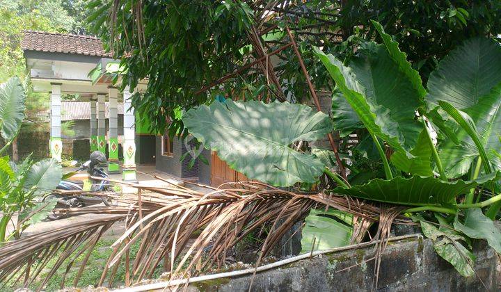 Rumah Murah di Daerah Tempel, Sleman 2