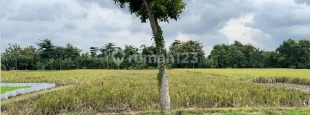 Tanah Murah di Daerah Rejoso, Nganjuk
