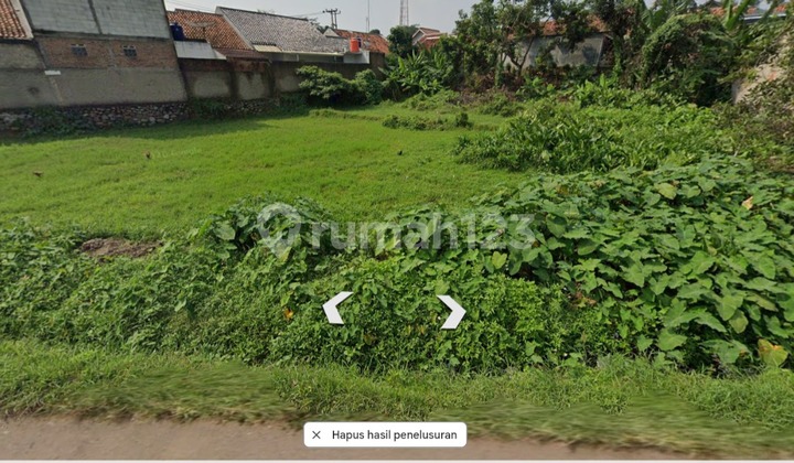 Productive Rice Fields in the Developing Jatiluhur Area, Purwakarta