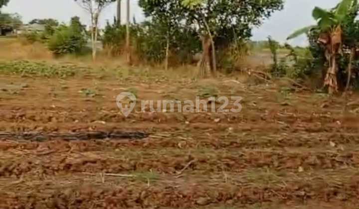 Strategic Land for Sale on Jl. Raya Subang Padaasih