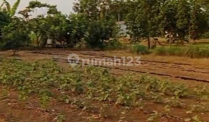 Strategic Land for Sale on Jl. Raya Subang Padaasih