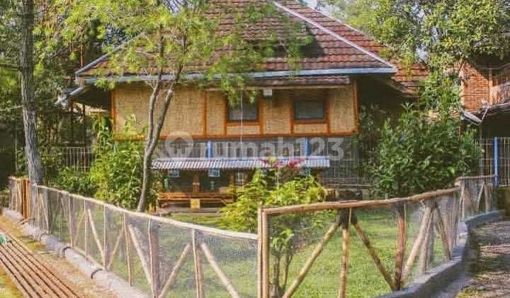 Rumah Villa Suasana Klasik & Unik di Nagrak Subang