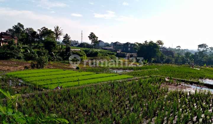 Tanah Luas Dijual ,Lokasi Strategis di Jl. Semarang Garut