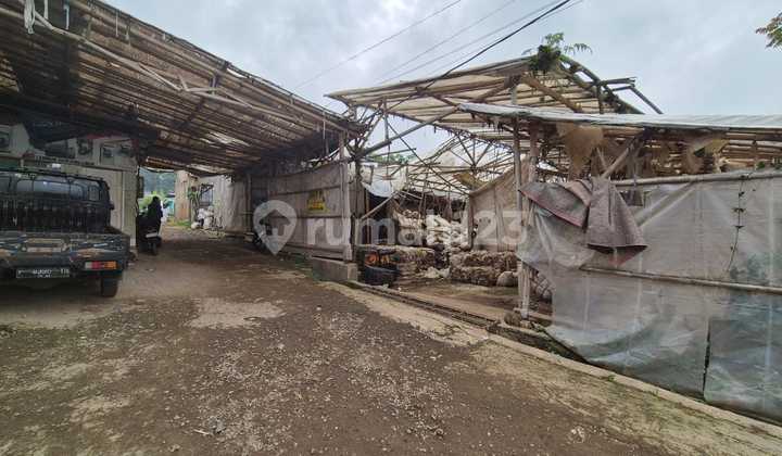 Miliki Tanah Asri di Cisarua Bandung Barat Lokasi Nyaman Miliki Tanah Asri di Cisarua Bandung Barat Lokasi Nyaman