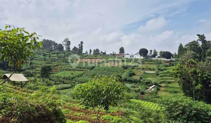 Lahan Luas Hadap Timur di Cipageran Cimahi Harga Terjangkau