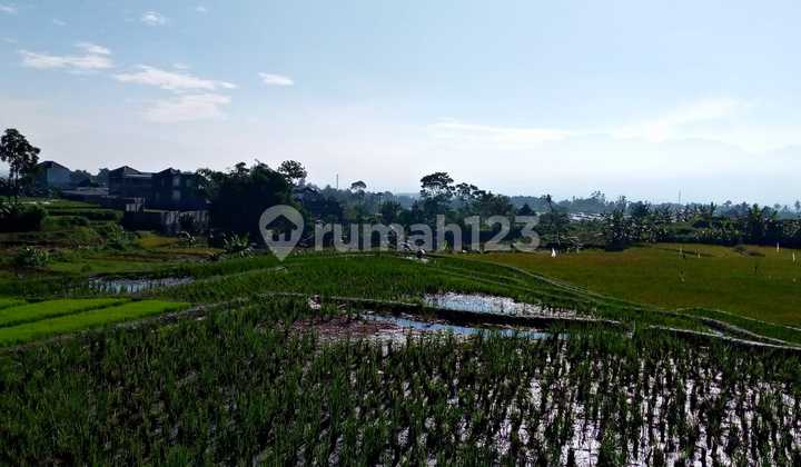 Large Land for Sale, Strategic Location on Jl. Semarang Garut Large Land for Sale, Strategic Location on Jl. Semarang Garut