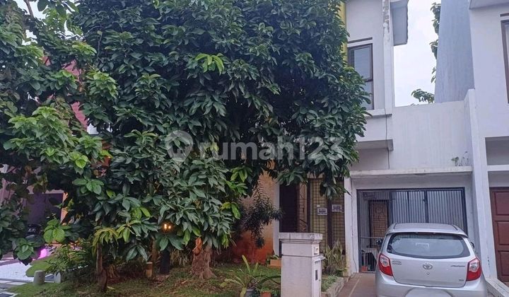Dijual Cepat Rumah Cluster Siap.huni Kawasan Scientia Gading Serpong