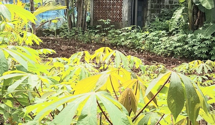 Kav Cisauk Shm Jalan.beton Dekat Stasiun Krl Cisauk Kav Cisauk Shm Jalan.beton Dekat Stasiun Krl Cisauk