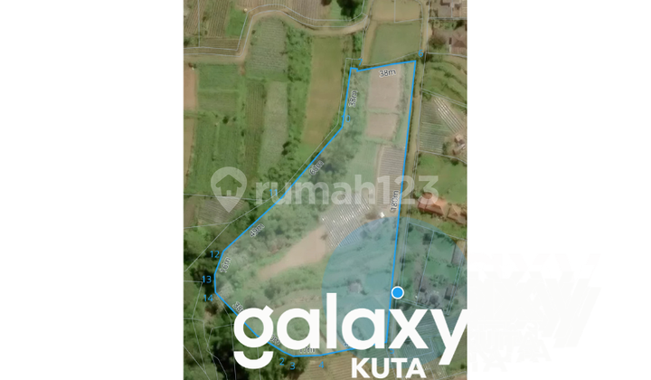 For Sale & Leasehold Land with Lake Buyan View in Bedugul Pancasali Buleleng - Bali
