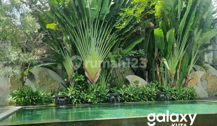 DISEWAKAN APARTMENT COZY SIAP HUNI DI SOPUTAN DENPASAR - BALI  2