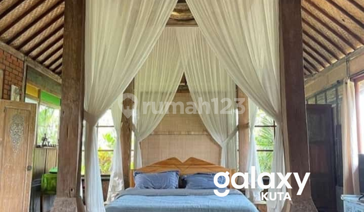 DISEWAKAN VILLA CANTIK VIEW SAWAH DI SINGAKERTA UBUD GIANYAR - BALI DISEWAKAN VILLA CANTIK VIEW SAWAH DI SINGAKERTA UBUD GIANYAR - BALI