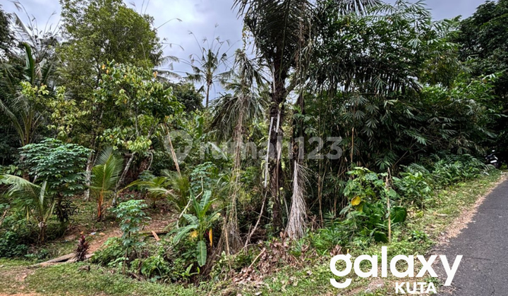 DIJUAL TANAH KEBUN DI LALANG LINGGAH SELEMADEG BARAT TABANAN - BALI 