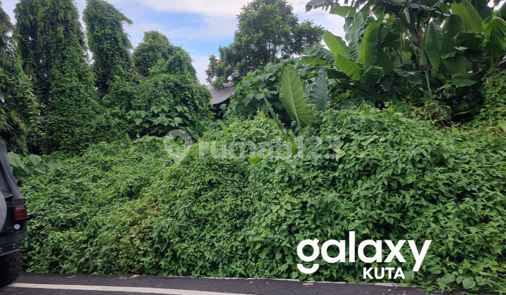 DIJUAL TANAH DI PIDADA UBUNG DENPASAR - BALI 