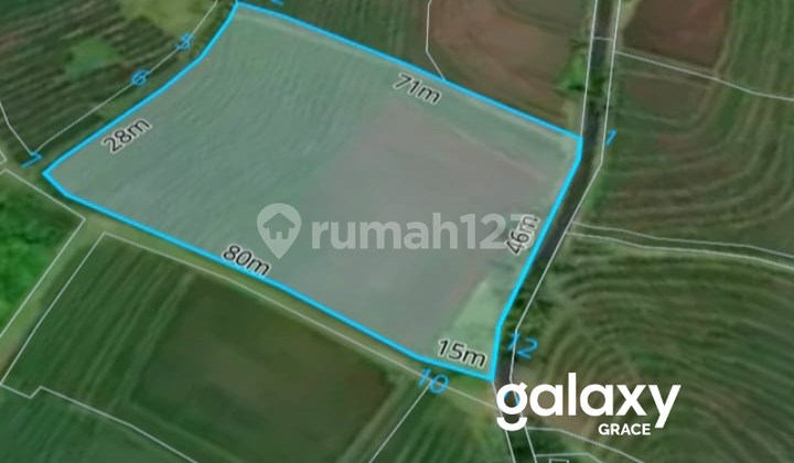 DIJUAL TANAH VIEW TERASERING DI PESAGI PENEBEL TABANAN - BALI DIJUAL TANAH VIEW TERASERING DI PESAGI PENEBEL TABANAN - BALI