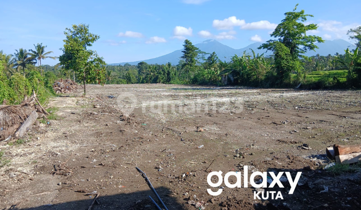 DIJUAL TANAH BONUS BANGUNAN RUMAH DI PEREAN BATURITI TABANAN - BALI DIJUAL TANAH BONUS BANGUNAN RUMAH DI PEREAN BATURITI TABANAN - BALI